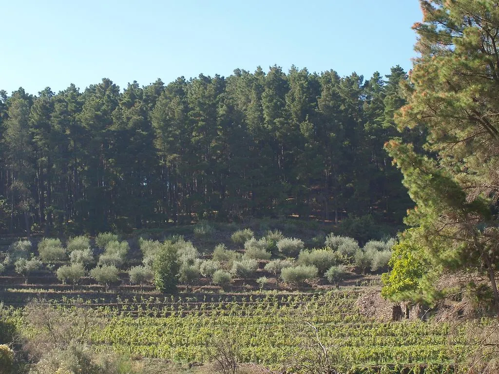 ファームステイ Passopisciaro A Barunissa Country Houseヴィラ