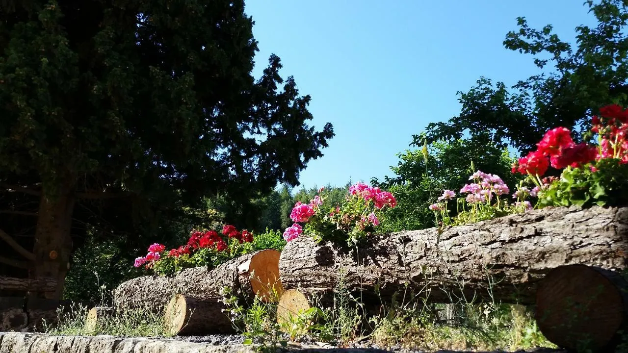 A Barunissa Country House Villa Passopisciaro Lantgård