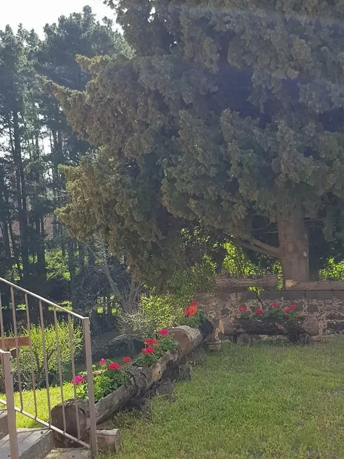 Passopisciaro A Barunissa Country Houseヴィラ イタリア